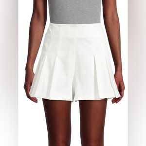 AMUR Apollo Pleated Shorts size 2